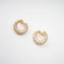 Luminous Gold Crystal Embellished Earrings