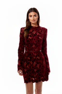 Lorraine Red Floral Embroidered Mini Dress