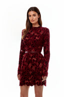 Lorraine Red Floral Embroidered Mini Dress