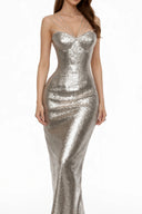 Cassandra Silver Sparkly Embellished Maxi Dress