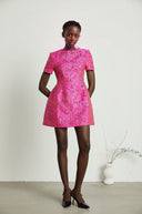 Ceriselle Floral-Appliqué Embellished Mini Dress in Pink