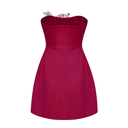 Bianca Pink Strapless Lily Appliqué Flared Mini Dress - Aura Muse