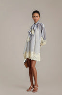 Callie Mini Dress With Floral Lace Embroidery - Aura Muse