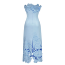 Cléa Blue Strapless Floral Embroidered Maxi Dress - Aura Muse