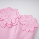 Cléa Pink Strapless Floral Embroidered Maxi Dress - Aura Muse