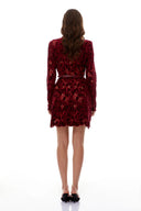 Lorraine Red Floral Embroidered Mini Dress - Aura Muse
