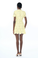 Lumière Yellow Floral Lace Mini Dress - Aura Muse