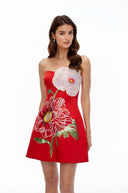 Valencia Red Flora Embroidered Mini Dress - Aura Muse